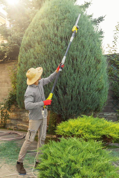 Lawn Watering Services in Wells Branch, TX